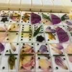 Floral Domino Set
