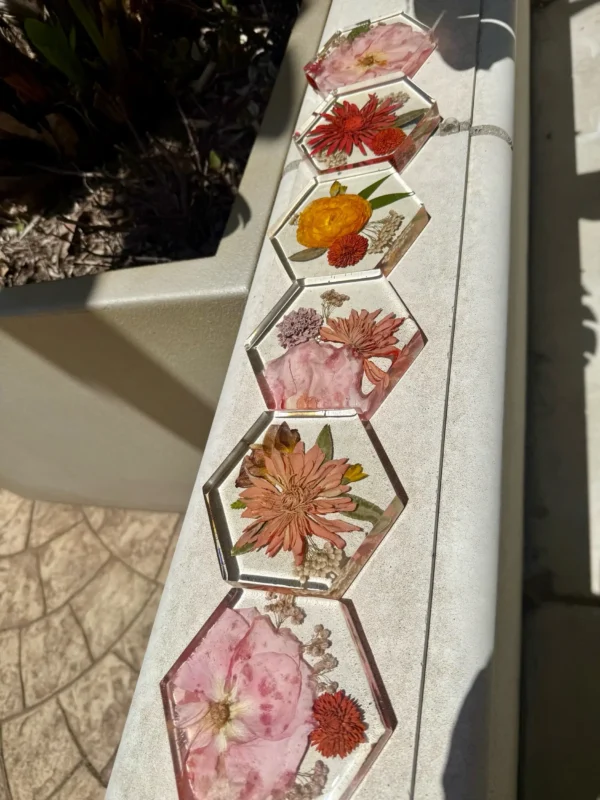 Hexagon Coasters (Set of 4)