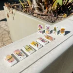 Floral Domino Set